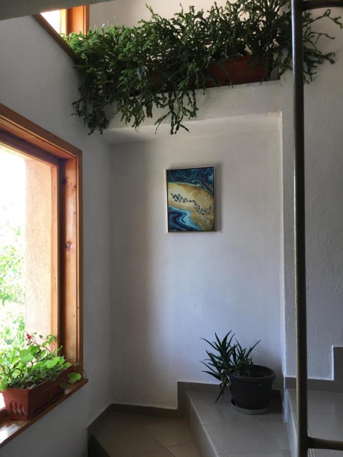 Chervenkov Guest House 切尔诺莫雷茨 外观 照片