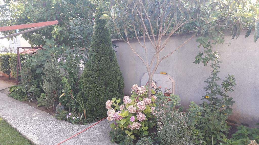 Chervenkov Guest House 切尔诺莫雷茨 外观 照片